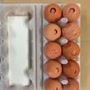 яйцо куриное  в Омске